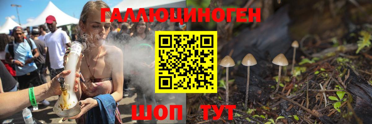 хочу   Галлюциногенные грибы Psilocybine cubensis  Вход с VPN  Кизляр  Галлюциногенные грибы прущие грибы 