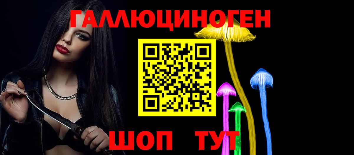 Псилоцибиновые грибы GOLDEN TEACHER Кизляр